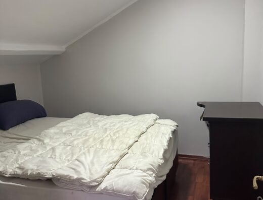 DUBLEKS EVİME EV ARKADAŞI ARIYORUM